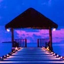 beautiful