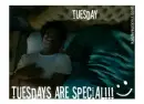 Tuesday, Tuesday, Tuesday
