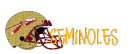 Go Seminoles
