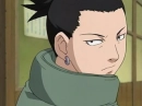 Shikamaru