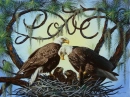 eaglelove