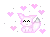 kao anis animal