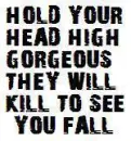Hold Your Head High