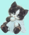 Pussycat