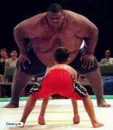 A funny picture