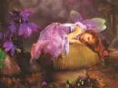 Sleeping faery
