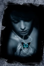Blue butterfly