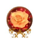 Globe rose orange