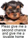 Give me a home