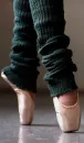 ballet shoes