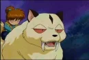 Kirara annoyed 