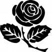 black rose