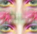 colors