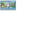 Trainer card
