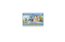 Trainer card