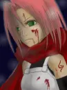 sakura