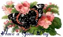 Have a Good Day!