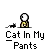 cat in me pants
