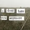 i dont hate you