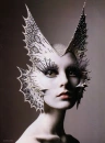 Butterfly Face