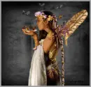 Butterfly Love