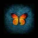 butterfly key