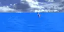 Diving Dolphins