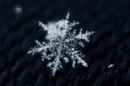 snow flake