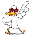 duck