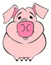 Piggy