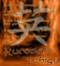 I am Kurosaki Ichigo