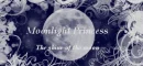Moonlight Princess