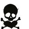 Skull**!!**