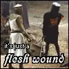 Flesh Wound
