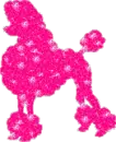 Poodle Power