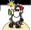 holliday sheep