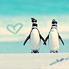 cute penguins