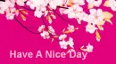 Have A Nice Day