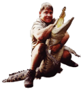 Steve Irwin