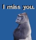 I miss you