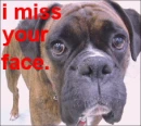 I miss your face dog