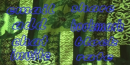 green hawaiian design
