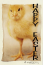 happy easter