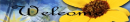yellow daisey