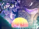 ALLAH