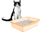 Litterbox Sandcastle
