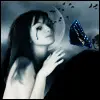 Night Butterfly