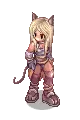 Neko