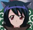 Neko