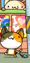 Kittys!!!!!